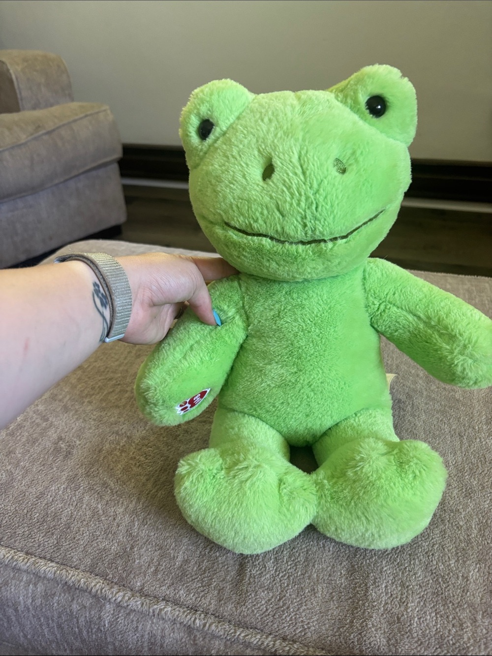 Build a Bear Plush Frog